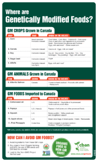 Poster: Where are GM Foods?