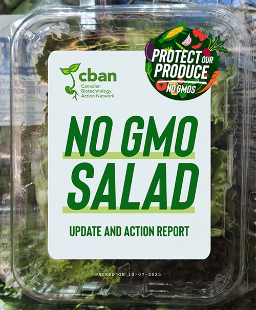 No GMO Salad Updates and Action Report