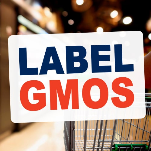 Canadian Biotechnology Action Network